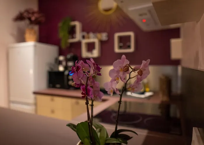 Studio Coeur De Ville Sanary Tres Cosy Parking